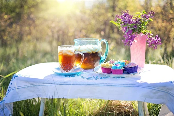 5月に植える花の種9選——初心者でも簡単！夏の庭が大変身する完全ガイド